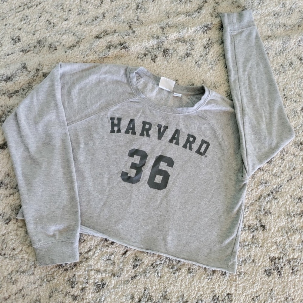 Licensed Grey Harvard Crop Sweatshirt M
